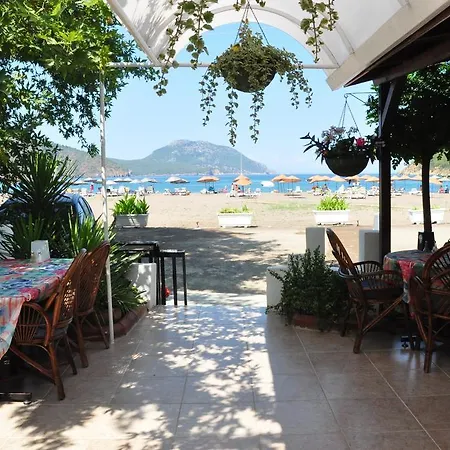 Meltem أدراسان