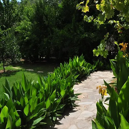 Meltem أدراسان