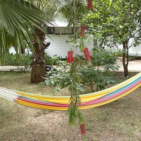 酒店 Meltem 阿德拉桑